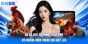 Đá Gà Cựa Sắt XN88 Kịch Tính Với Những Màn Tranh Đấu Nảy Lửa