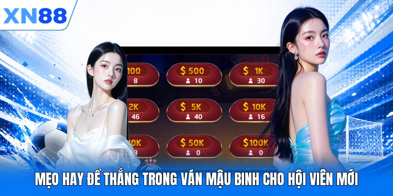 Mẹo hay để thắng trong ván Mậu Binh cho hội viên mới
