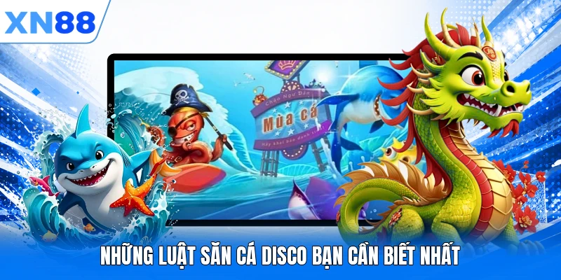Những luật săn cá Disco bạn cần biết nhất