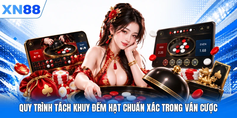 quy trinh tach khuy dem hat chuan xac trong van cuoc Quy trình tách khuy đếm hạt chuẩn xác trong ván cược